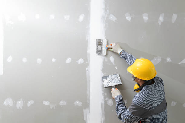 Best Basement Mold Removal  in East Quincy, CA