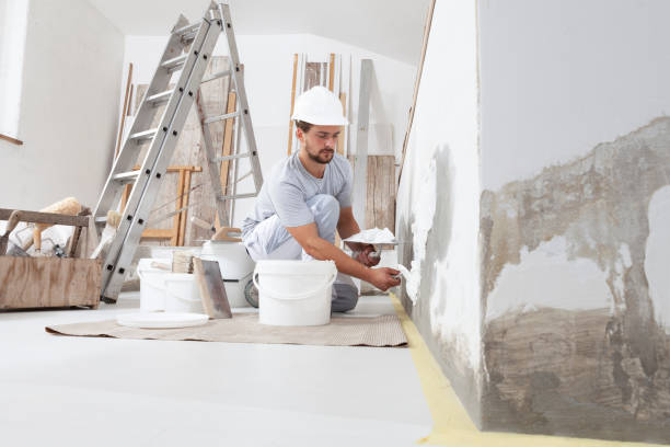Professional Mold Removal in East Quincy, CA